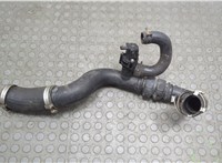FR3C6C646A Патрубок интеркулера Ford Mustang 2014-2017 20781555 #1