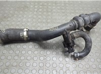 FR3C6C646A Патрубок интеркулера Ford Mustang 2014-2017 20781555 #2