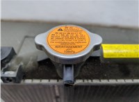  Радиатор охлаждения двигателя Subaru Forester (S14) 2018-2024 20782205 #5