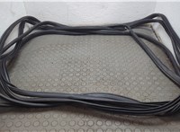  Уплотнитель Acura TLX 2014-2020 20784170 #1