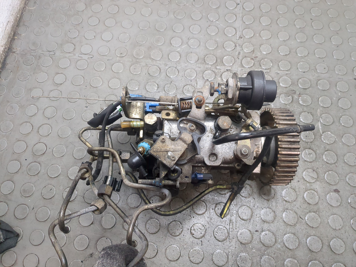 ТНВД (Топливный насос высокого давления)