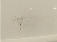 564000062 Дверь задняя (распашная) LDV (DAF) Maxus 2004-2008 20786228 #3