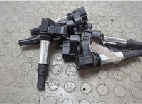 12629037 Катушка зажигания(комплект) Cadillac STS 2004-2011 20788364 #1