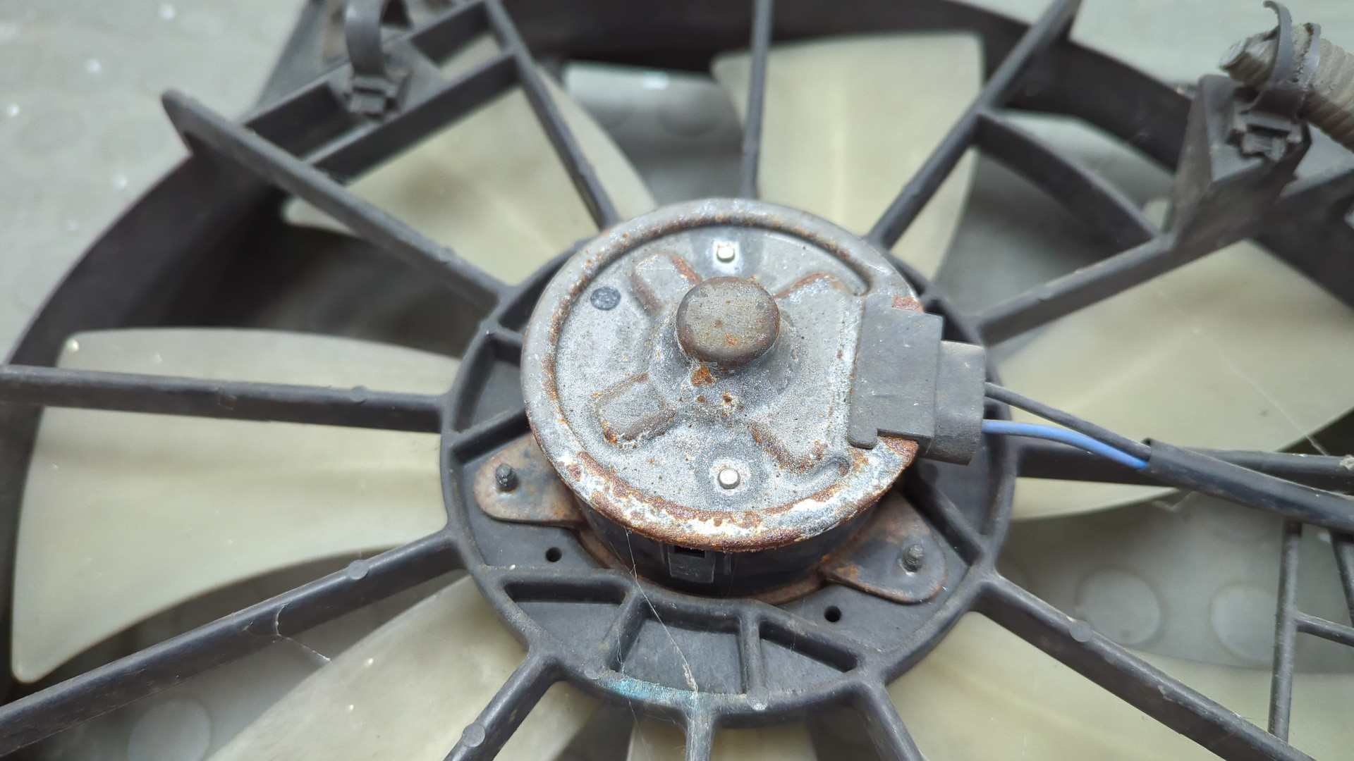 Вентилятор радиатора