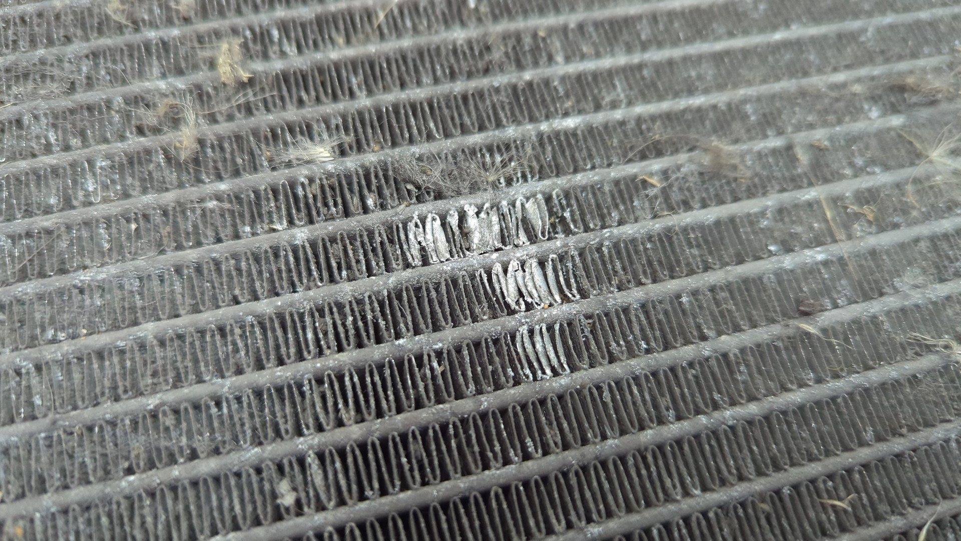 Радиатор охлаждения двигателя основной