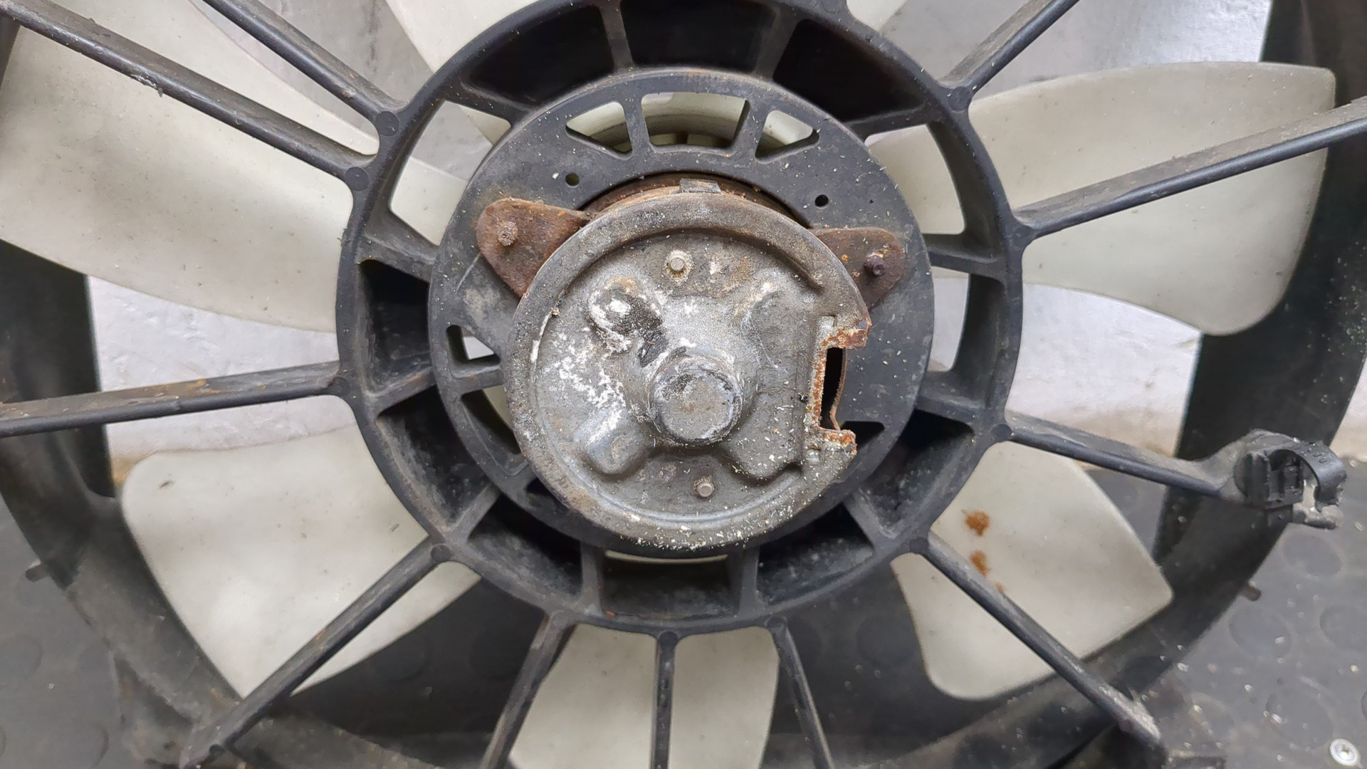 Вентилятор радиатора