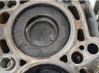 03L103011AK Блок цилиндров (Шорт блок) Skoda Roomster 2006-2015 20789905 #8