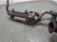 03G131512AA Охладитель отработанных газов Volkswagen Golf 5 2003-2009 20790393 #3