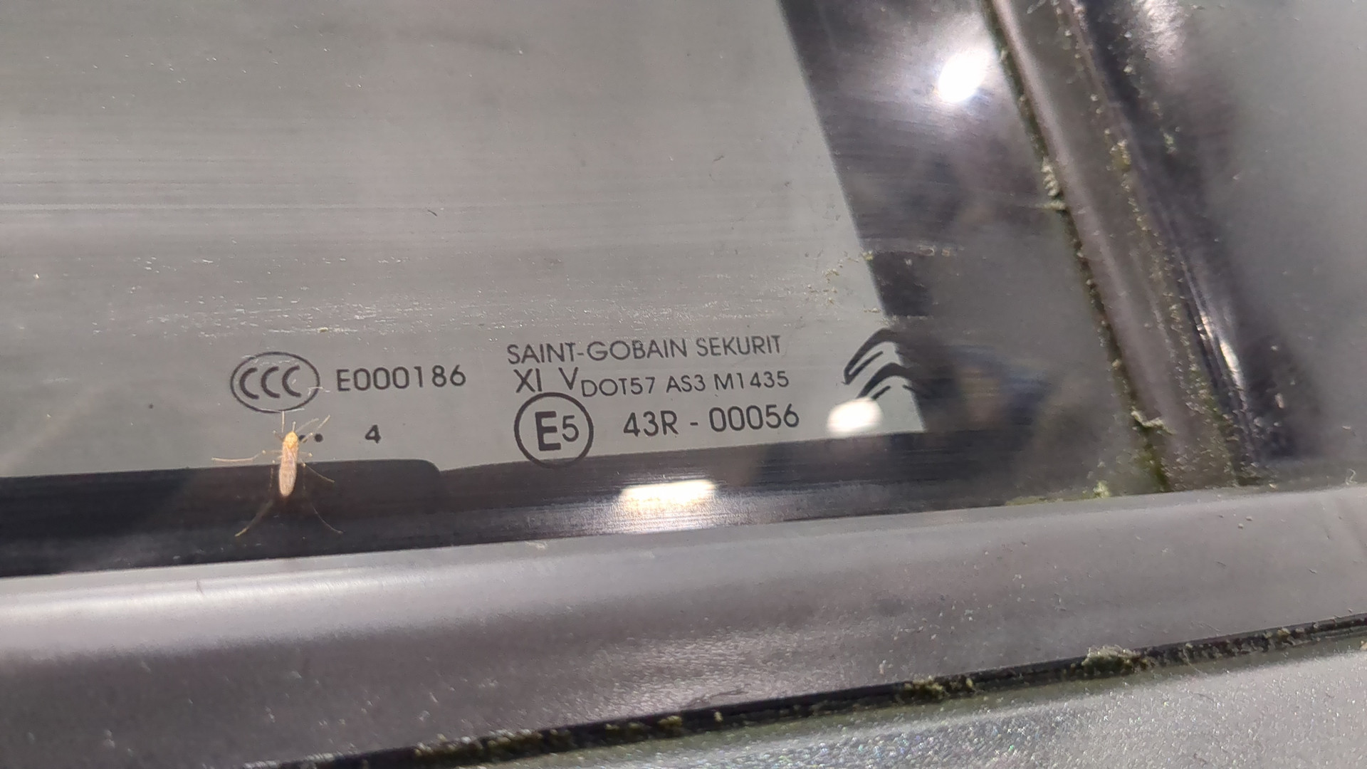 Дверь задняя правая