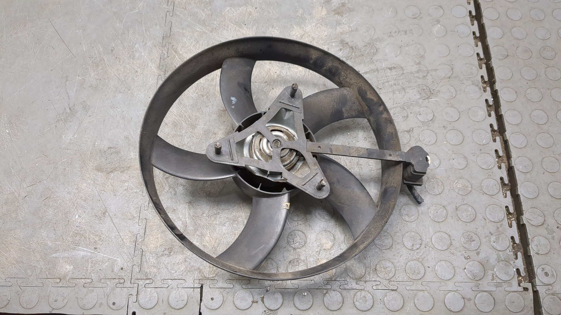 Вентилятор радиатора