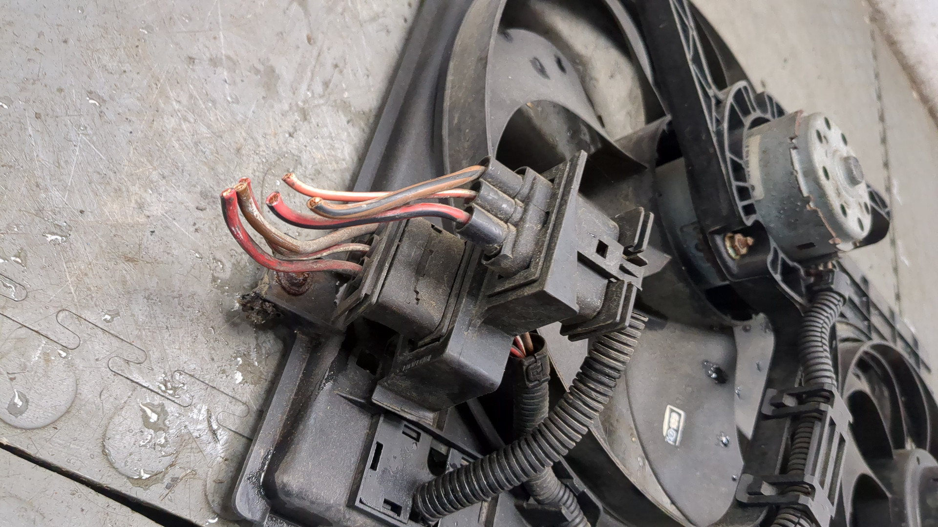 Вентилятор радиатора