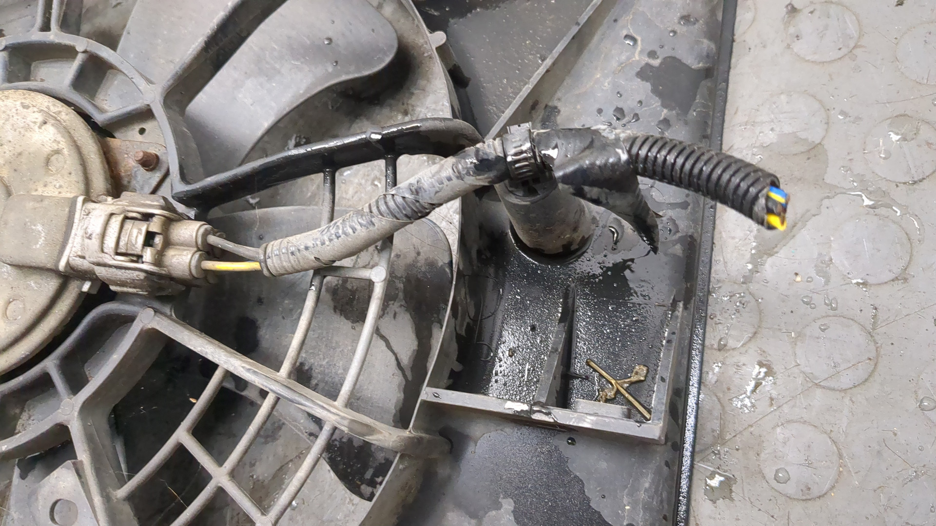 Вентилятор радиатора