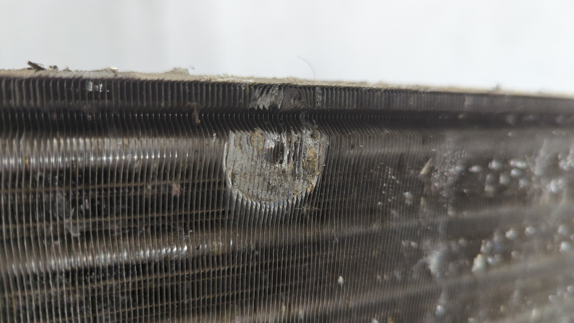 Радиатор охлаждения двигателя основной