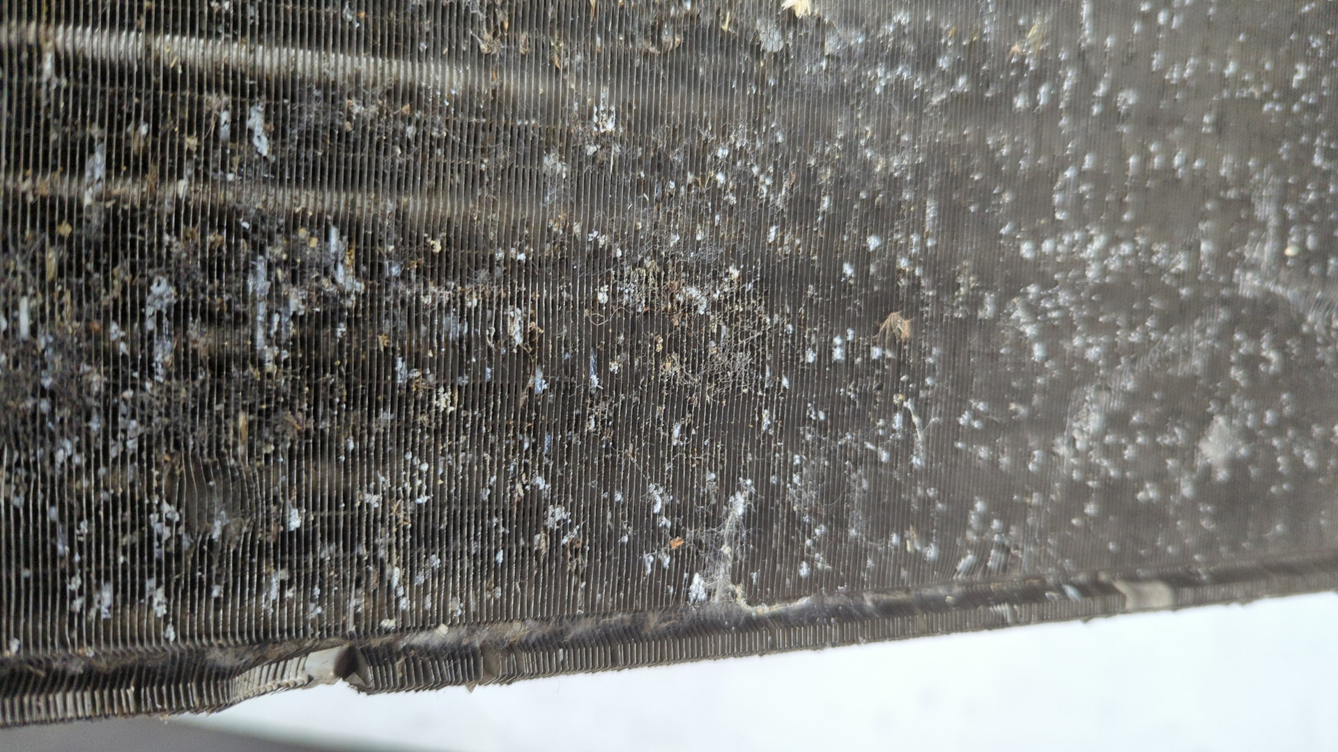 Радиатор охлаждения двигателя основной