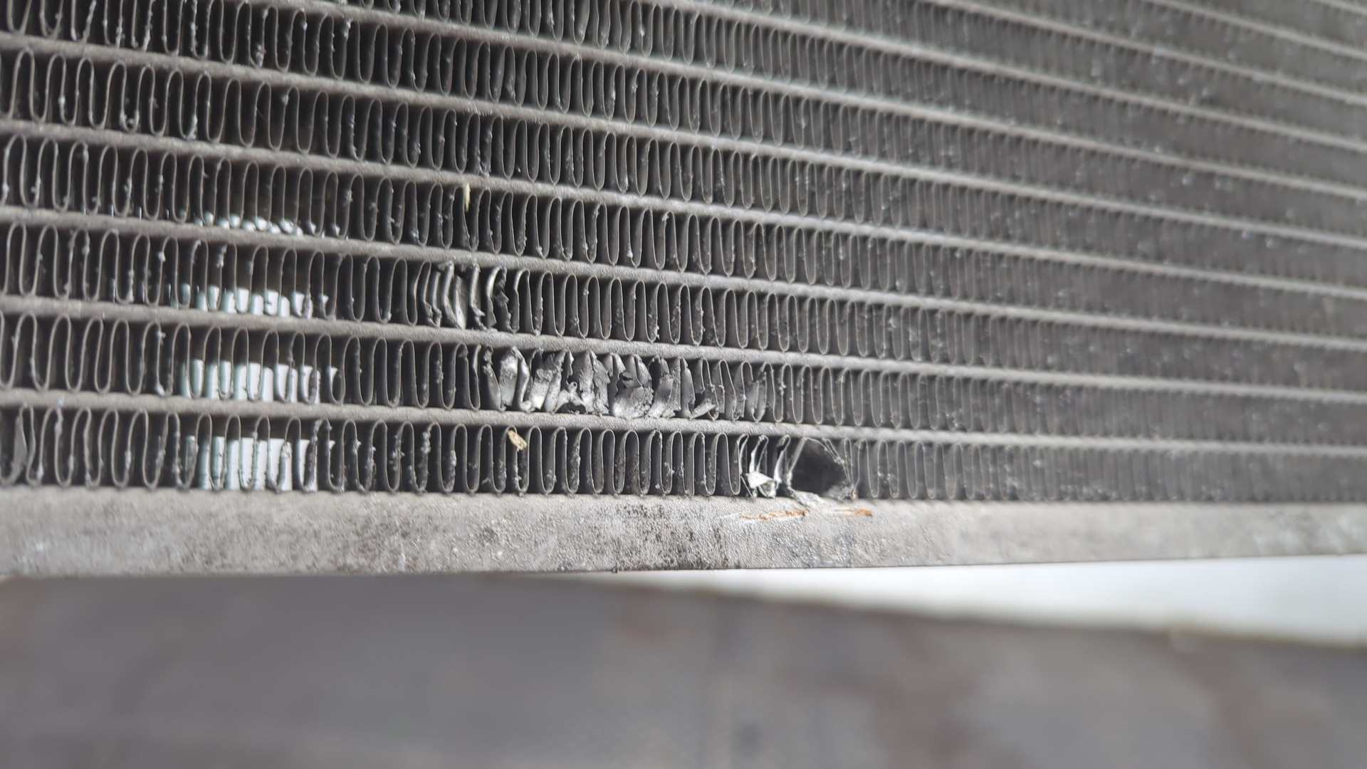 Радиатор охлаждения двигателя основной