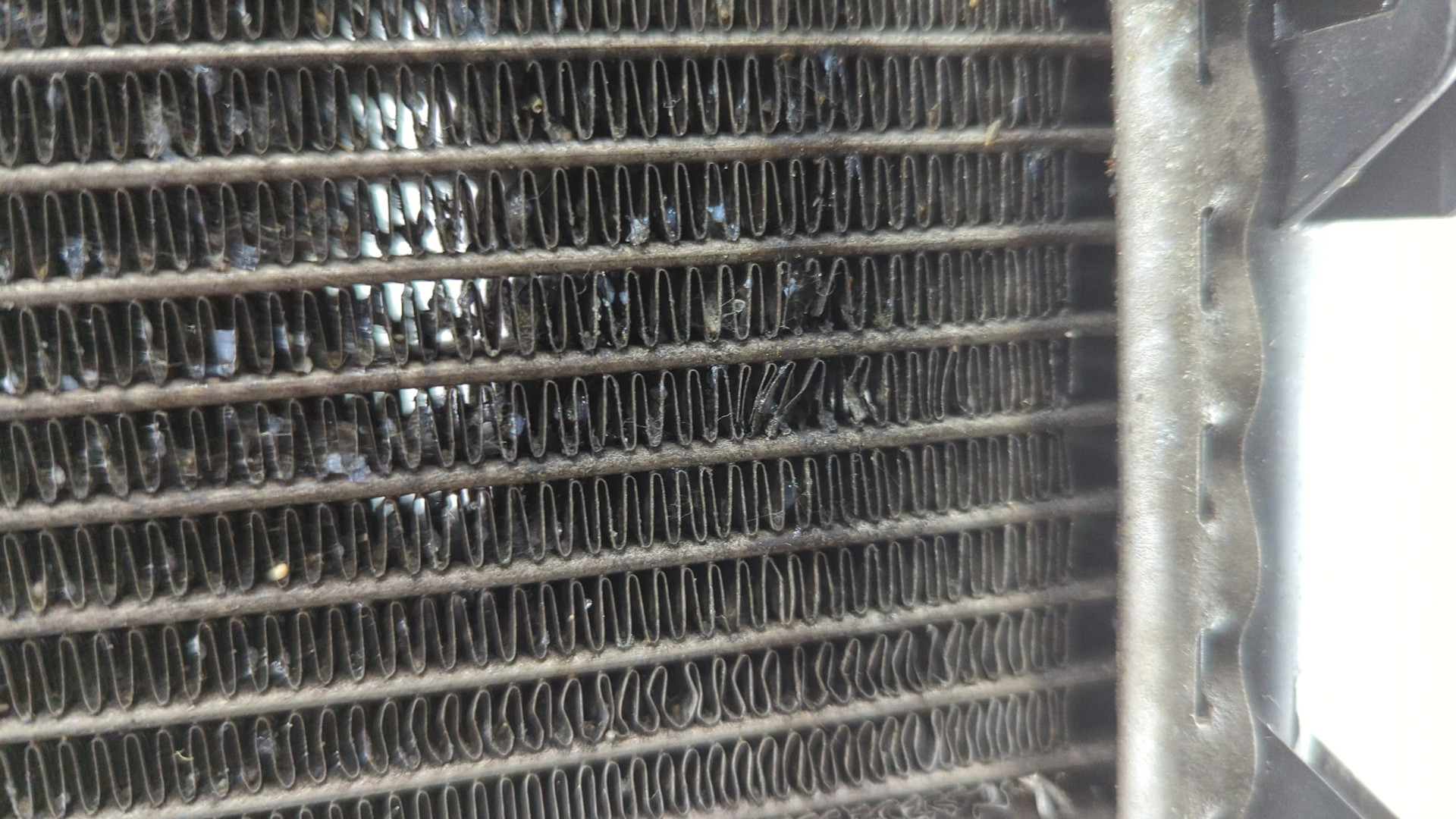 Радиатор охлаждения двигателя основной