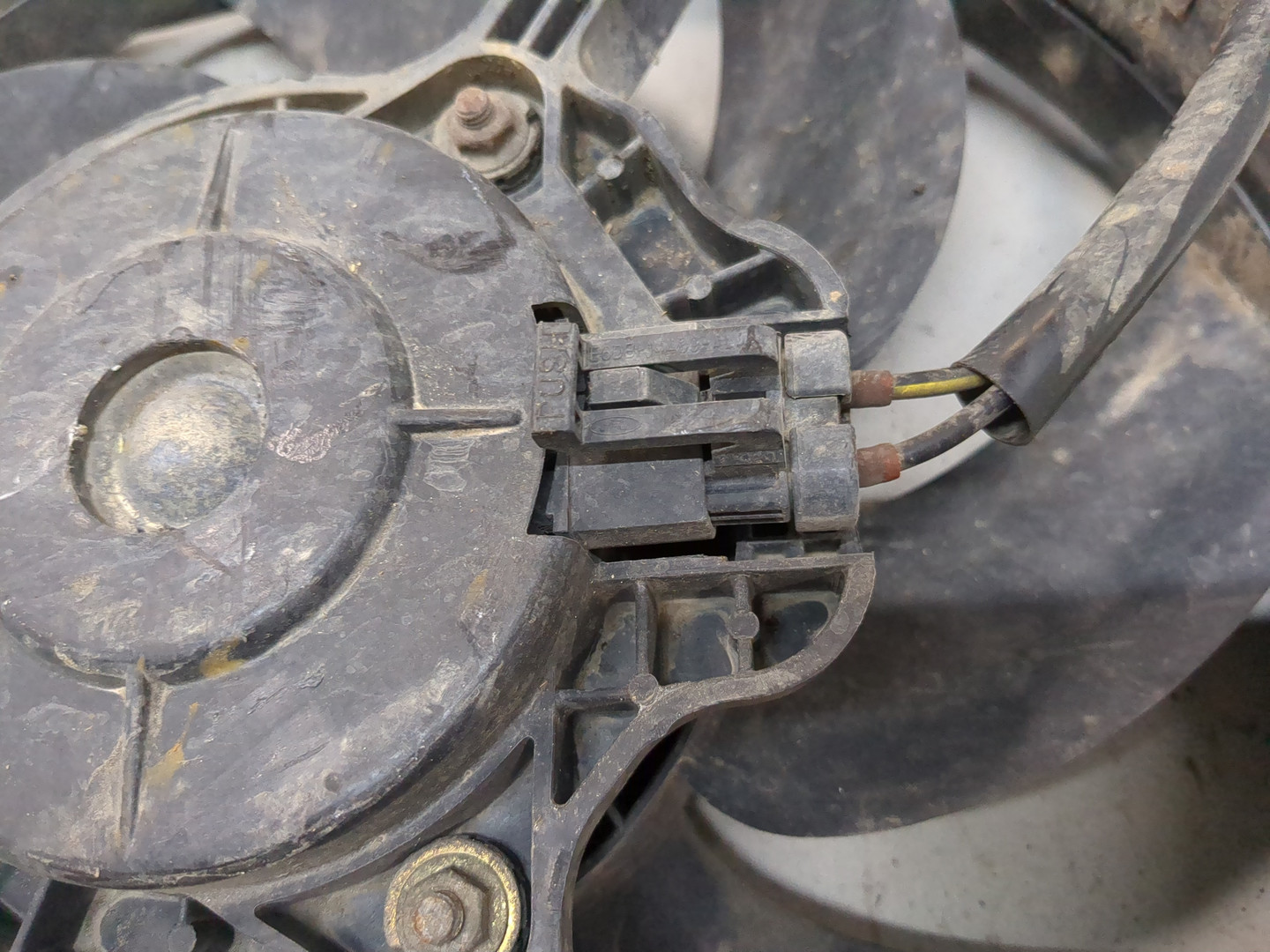 Вентилятор радиатора