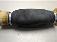 37126790080, 6790080 Пневмоподушка BMW X5 E70 2006-2013 20796894 #1