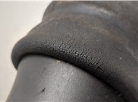 ANR4685 Пневмоподушка Land Rover Range Rover 2 1994-2002 20796903 #4