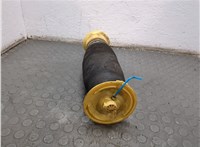 37126790080, 6790080 Пневмоподушка BMW X5 E70 2006-2013 20796989 #2