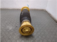 37126790080, 6790080 Пневмоподушка BMW X5 E70 2006-2013 20796989 #3