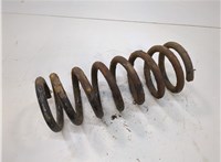 251411105A Пружина подвески Volkswagen Transporter 2 1979-1992 20797562 #1