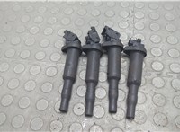  Катушка зажигания(комплект) Citroen DS3 2009-2016 20798931 #1