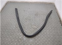 A2216280098 Уплотнитель Mercedes S W221 2005-2013 20799613 #1