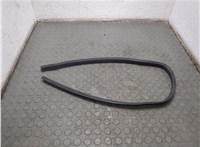 A2216280098 Уплотнитель Mercedes S W221 2005-2013 20799623 #1