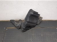 96663520 Пластик (обшивка) моторного отсека Chevrolet Aveo (T250 / 255) 2006-2012 20799887 #1