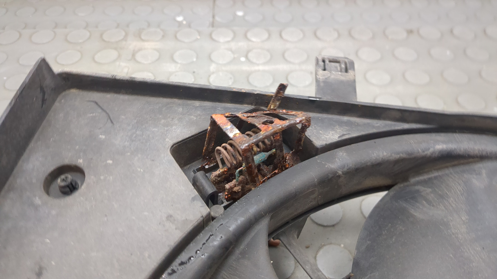 Вентилятор радиатора