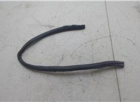  Уплотнитель Peugeot 407 2004-2011 20801594 #2