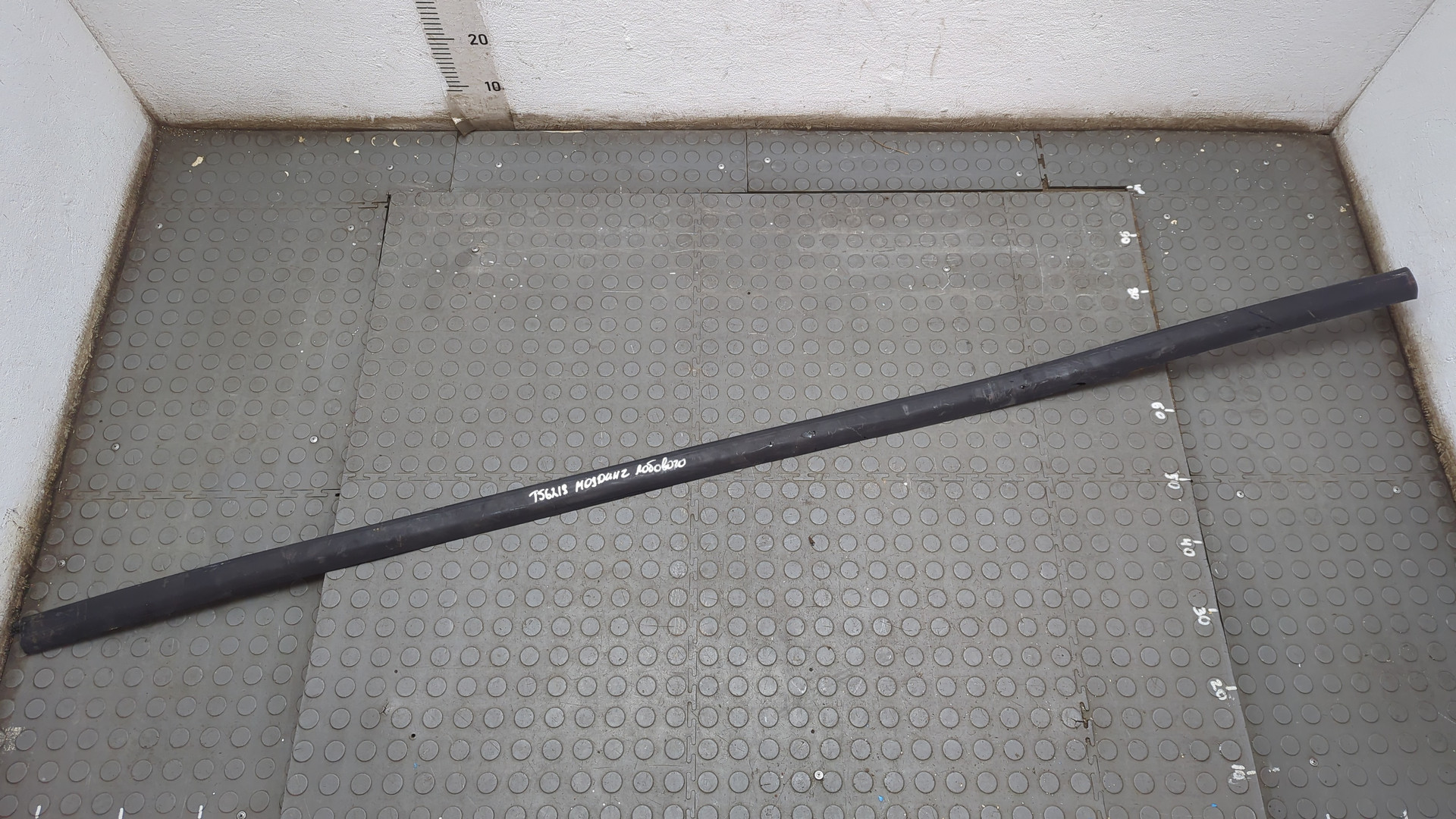 Молдинг лобового стекла