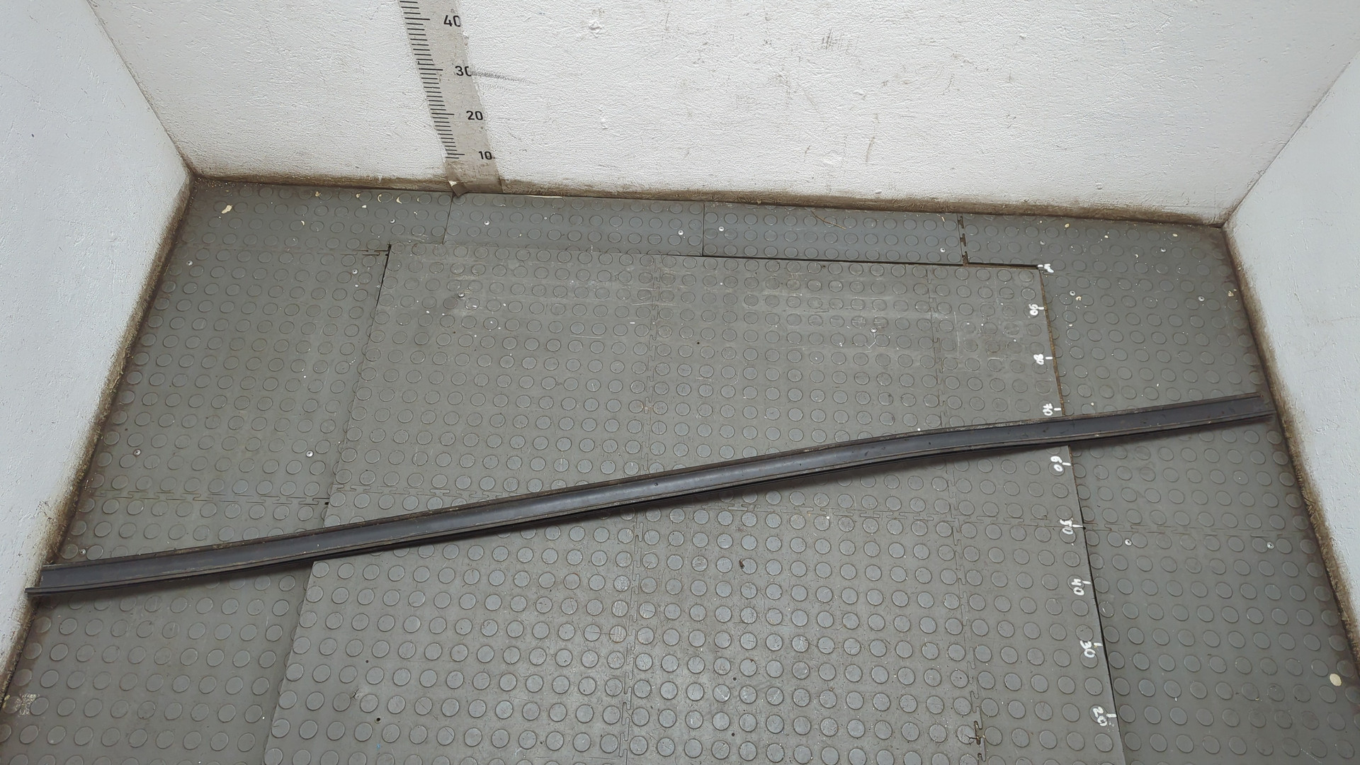 Молдинг лобового стекла