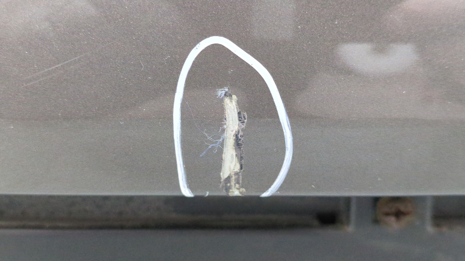 Дверь багажника