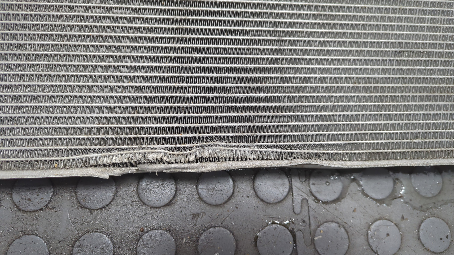 Радиатор охлаждения двигателя основной