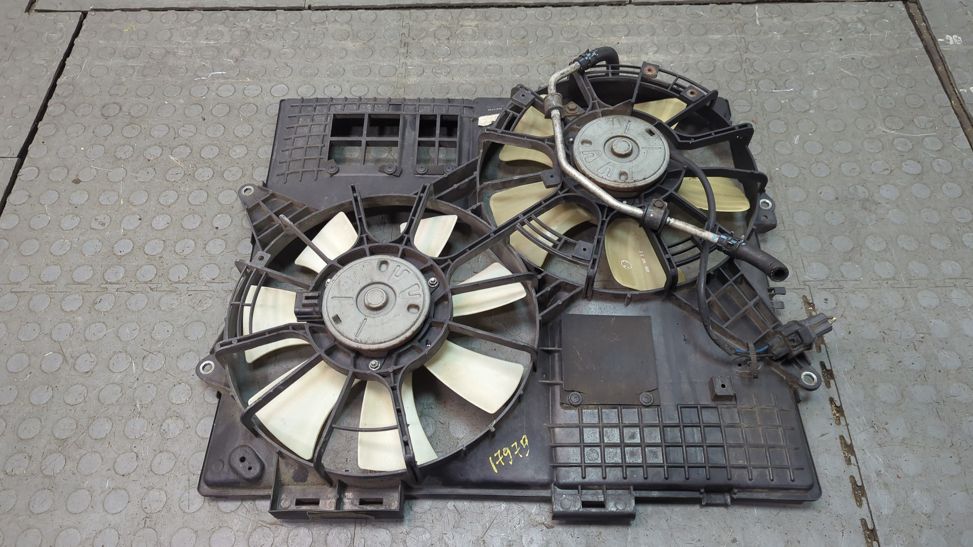 Вентилятор радиатора