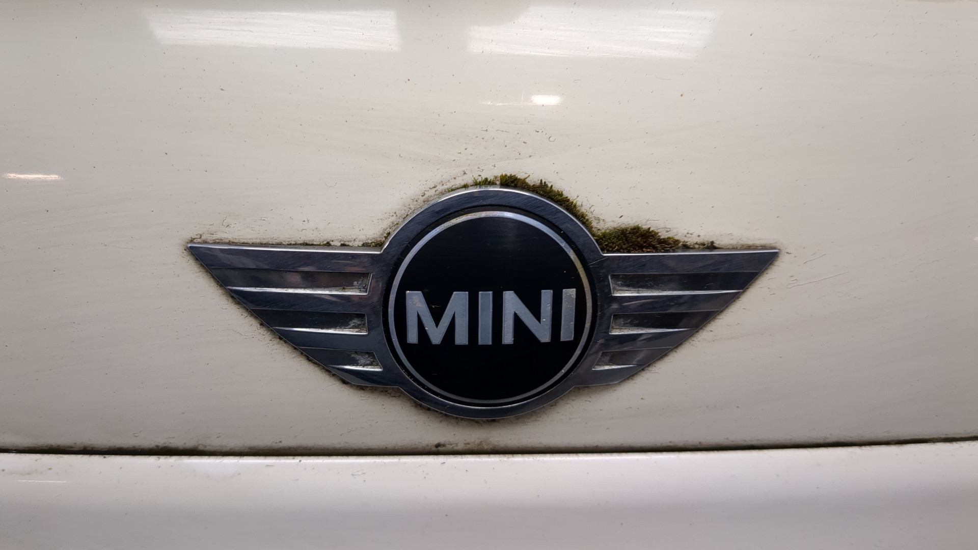 Дверь багажника