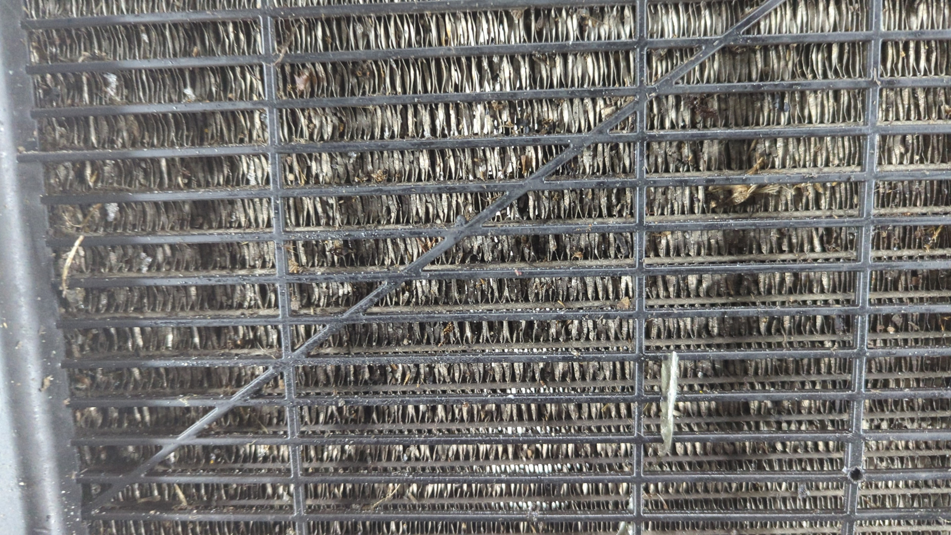 Радиатор охлаждения двигателя основной