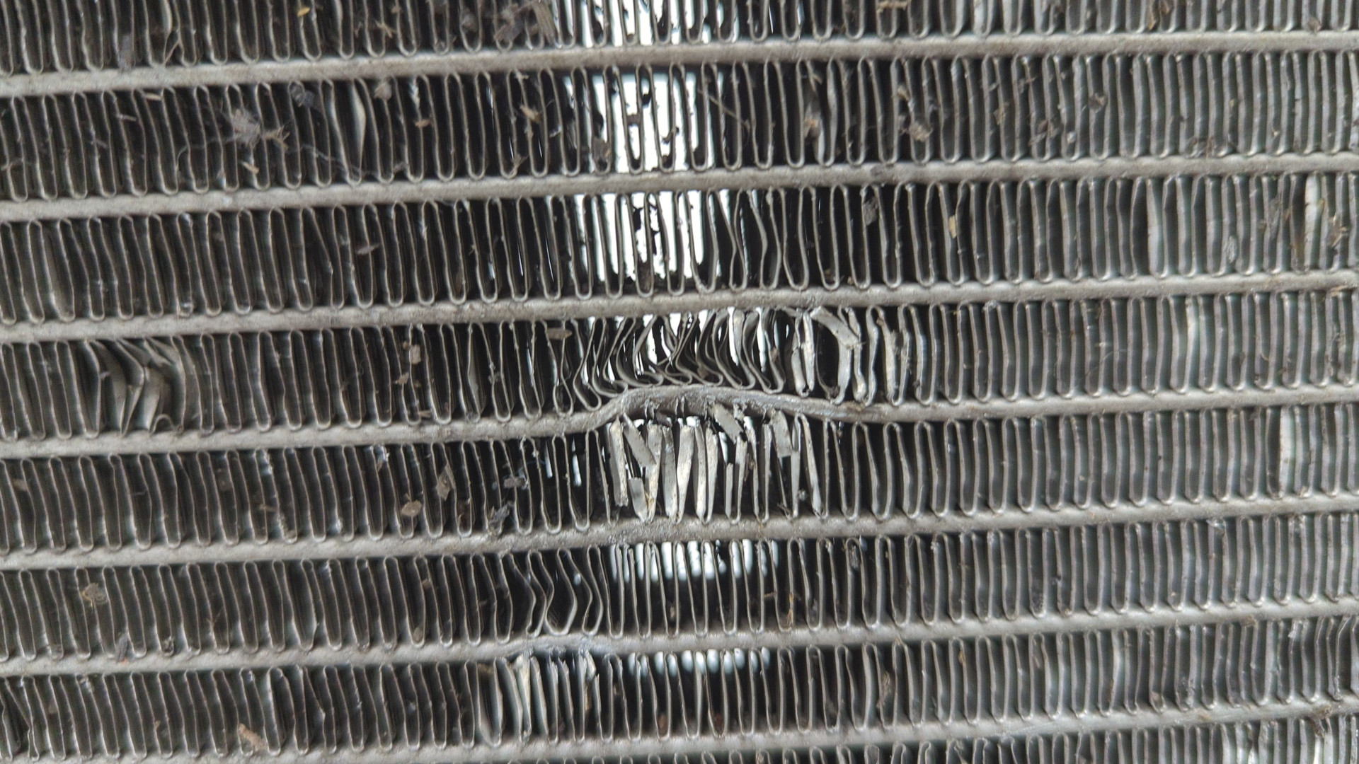 Радиатор охлаждения двигателя основной