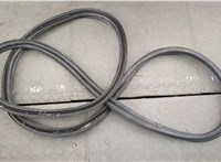  Уплотнитель Dodge Hornet 2022-2025 20814537 #1