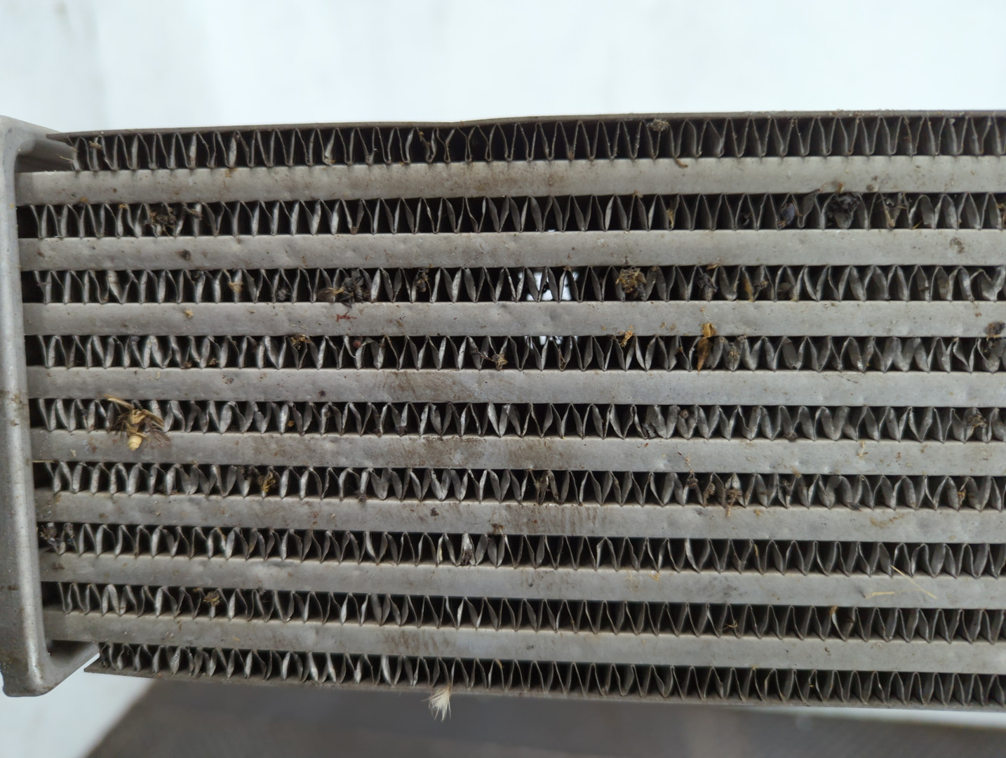 Интеркулер