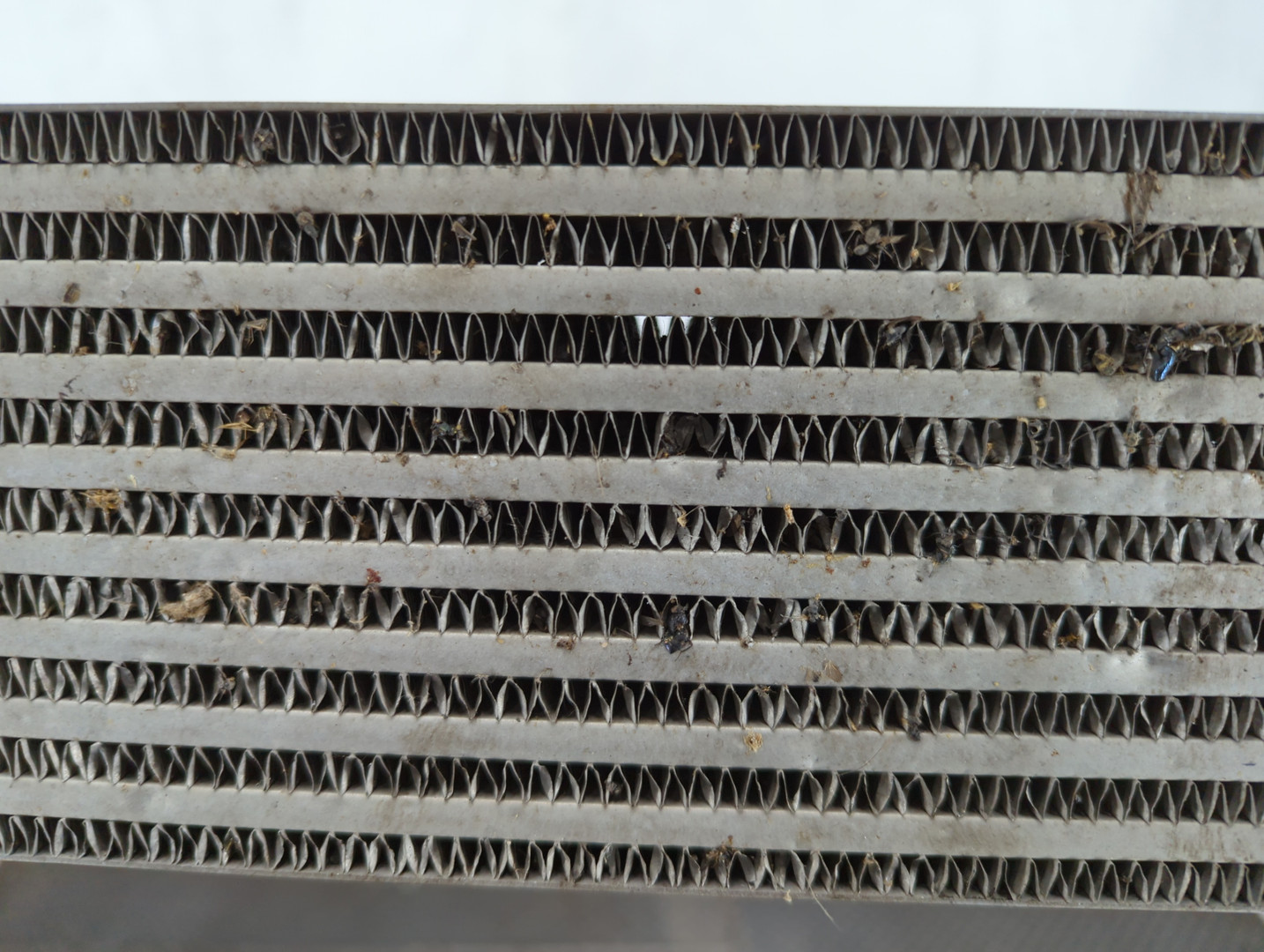 Интеркулер