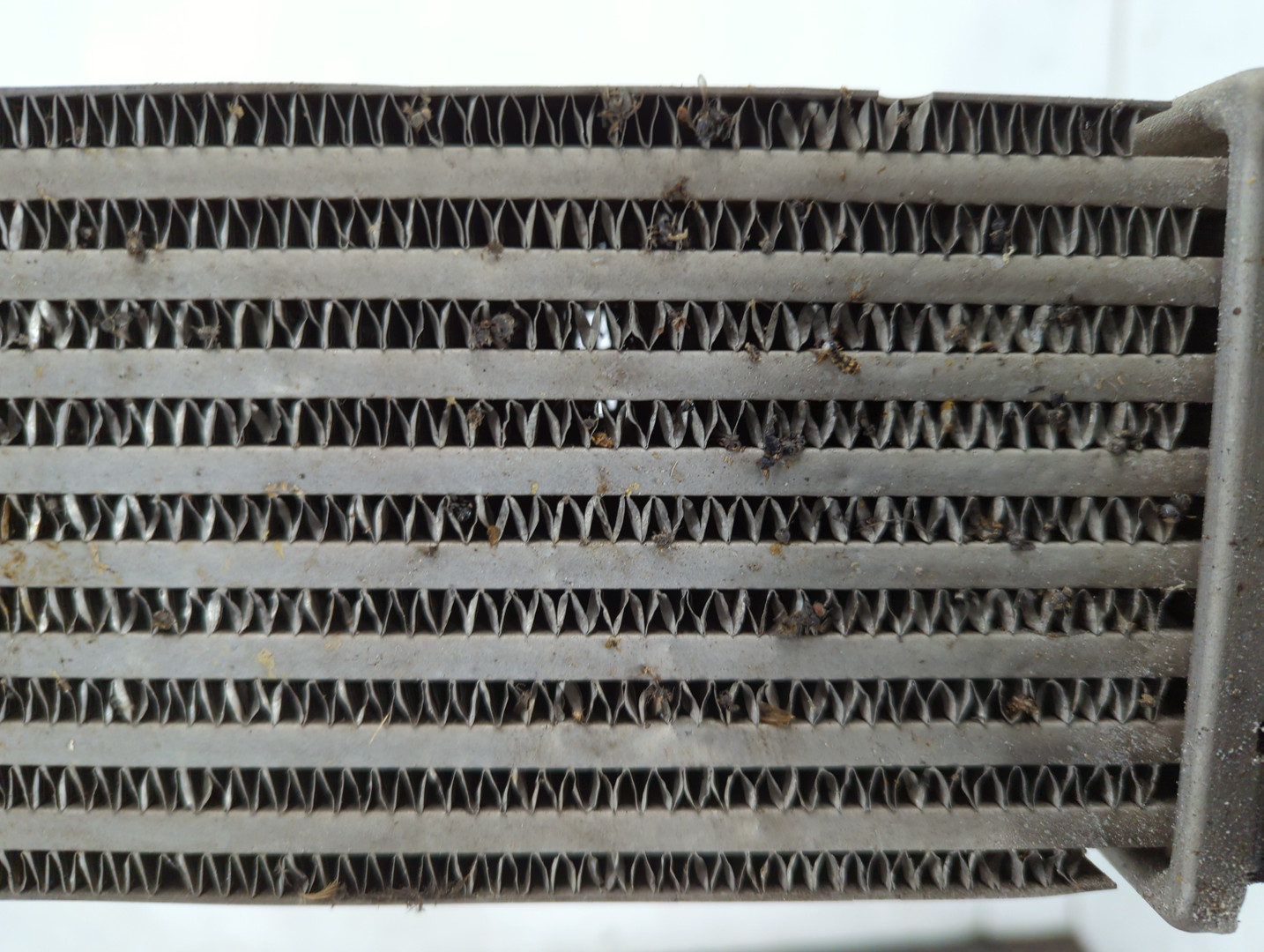 Интеркулер