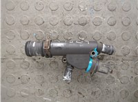 038121132D Корпус термостата Volkswagen Passat 6 2005-2010 20815621 #1