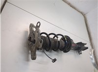 00505747650 Амортизатор подвески Dodge Hornet 2022-2025 20815987 #2