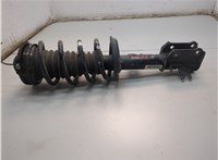 00505747630 Амортизатор подвески Dodge Hornet 2022-2025 20816017 #2