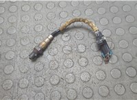 12590035 Лямбда зонд Cadillac SRX 2003-2009 20816247 #1