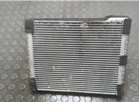 68440392AA Радиатор кондиционера салона Dodge Hornet 2022-2025 20816523 #6