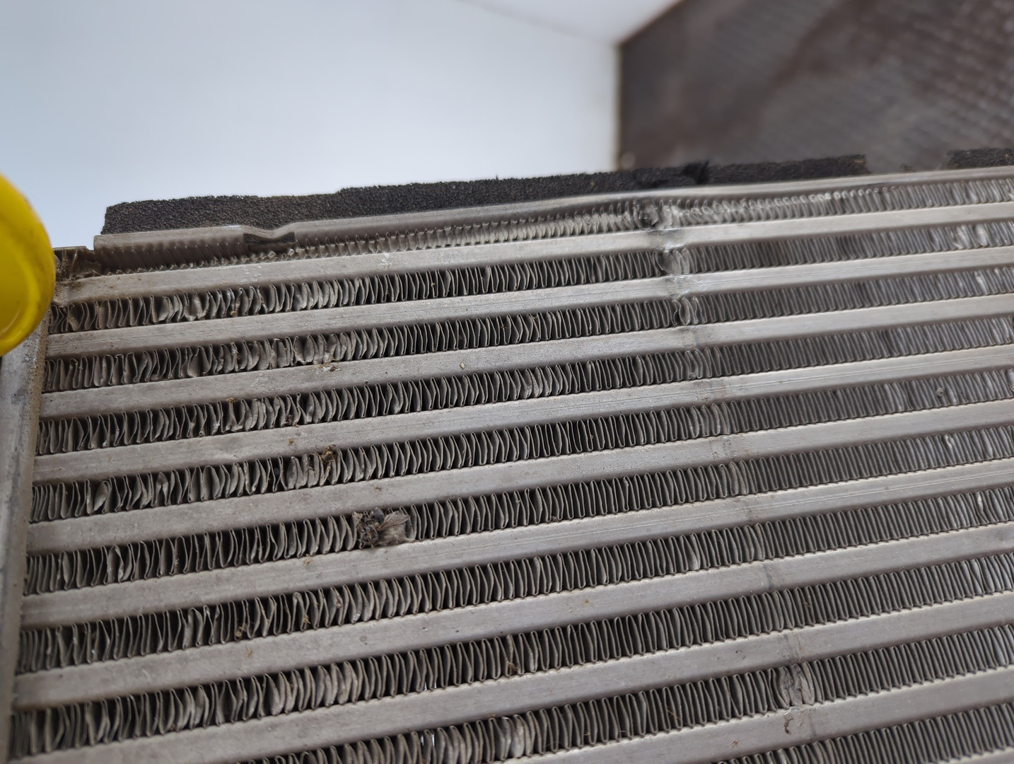 Интеркулер